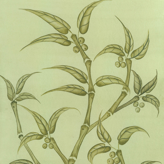 Bamboo En Fleur Original