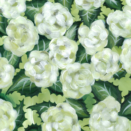 Original Limelight Hydrangeas (11x14in)