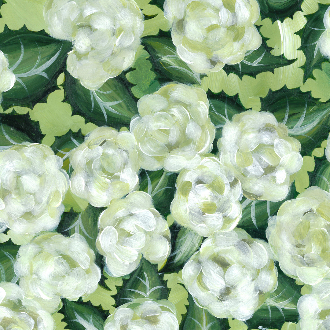 Original Limelight Hydrangeas (11x14in)