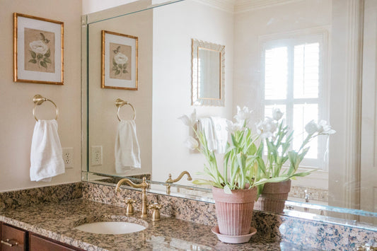 Master Bathroom Renovation WITHOUT a Renovation