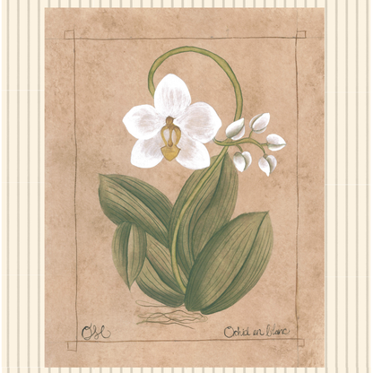 Botanique Blanc Set of 4 Originals on Papier