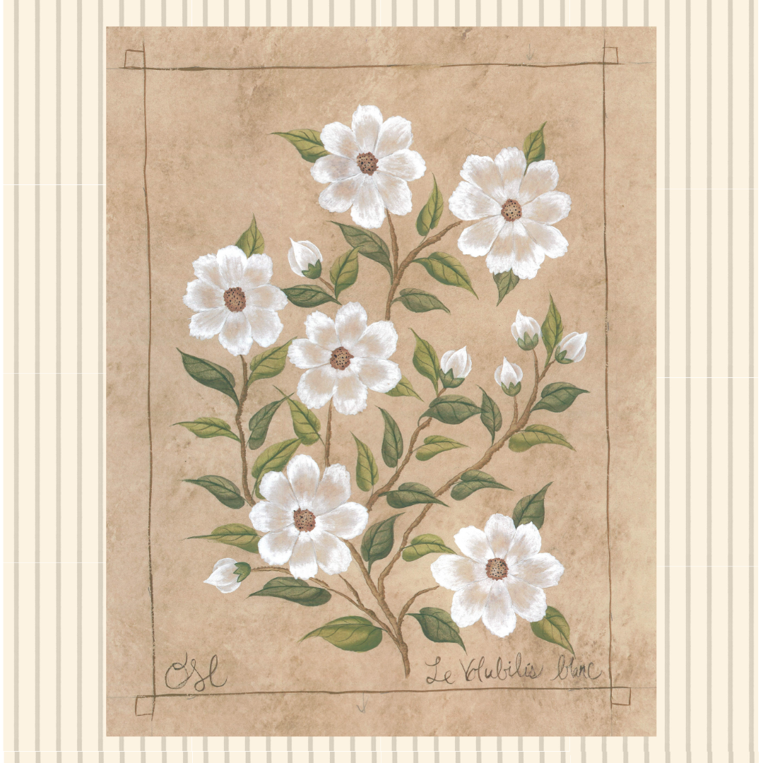 Botanique Blanc Set of 4 Originals on Papier