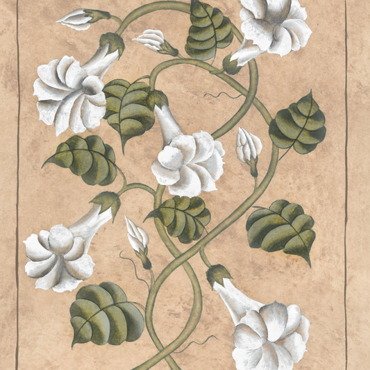 Botanique Blanc Morning Glory Original on Papier