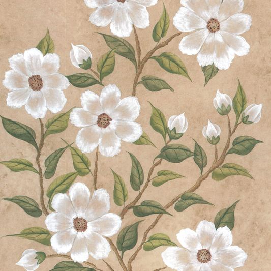 Botanique Blanc Set of 4 Originals on Papier