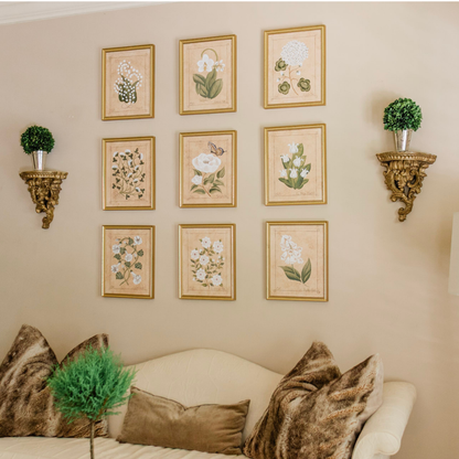 Botanique Blanc Orchid Art Print