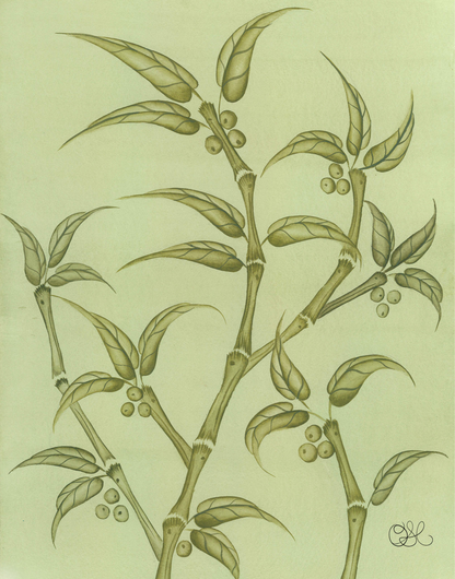 Bamboo En Fleur Original