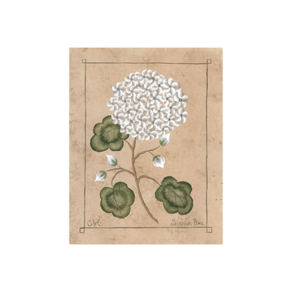 Botanique Blanc Orchid Art Print