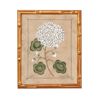 Botanique Blanc Orchid Art Print
