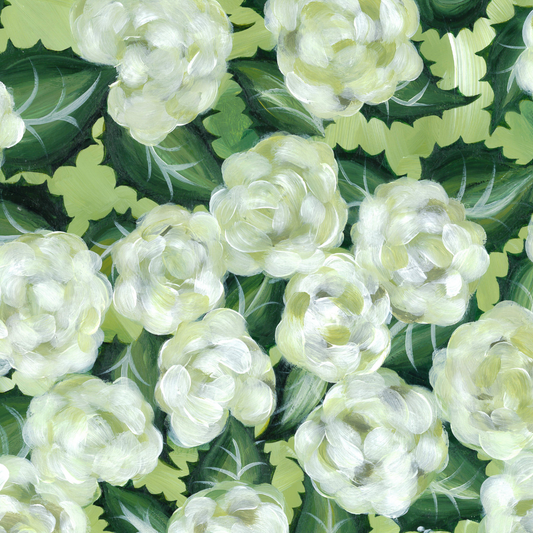 Original Limelight Hydrangeas (11x14in)
