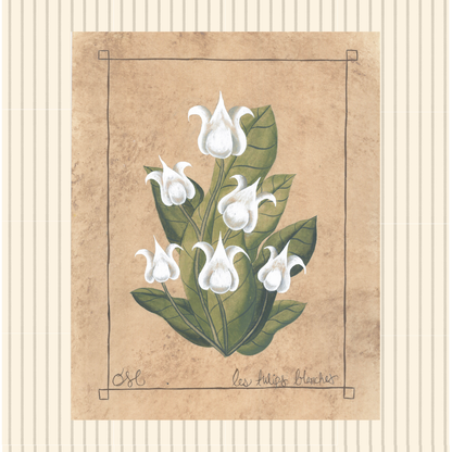 Botanique Blanc Tulips Original on Papier