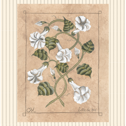 Botanique Blanc Morning Glory Original on Papier