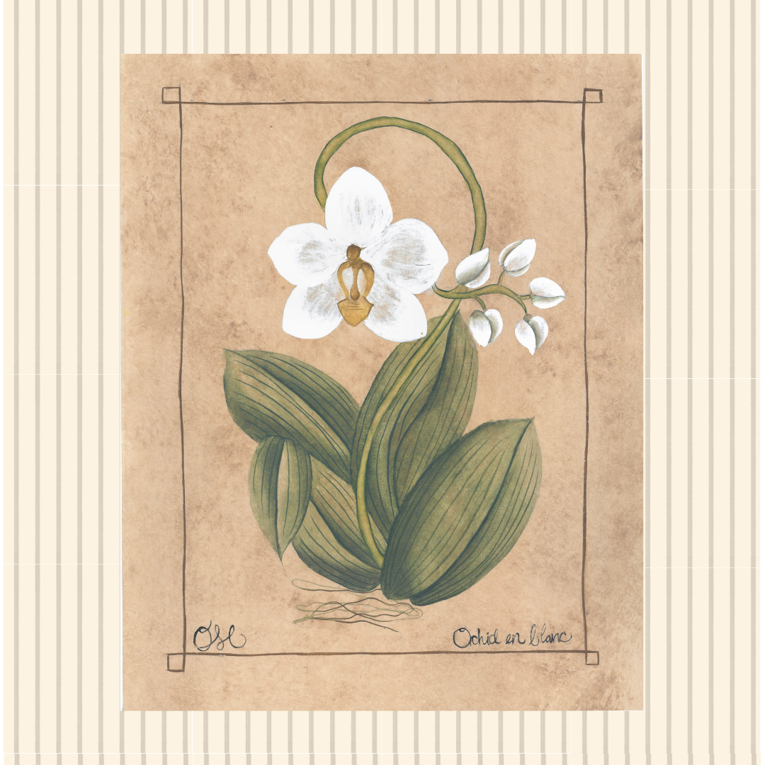 **Botanique Blanc Set of 9 Originals on Papier