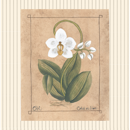 **Botanique Blanc Set of 9 Originals on Papier