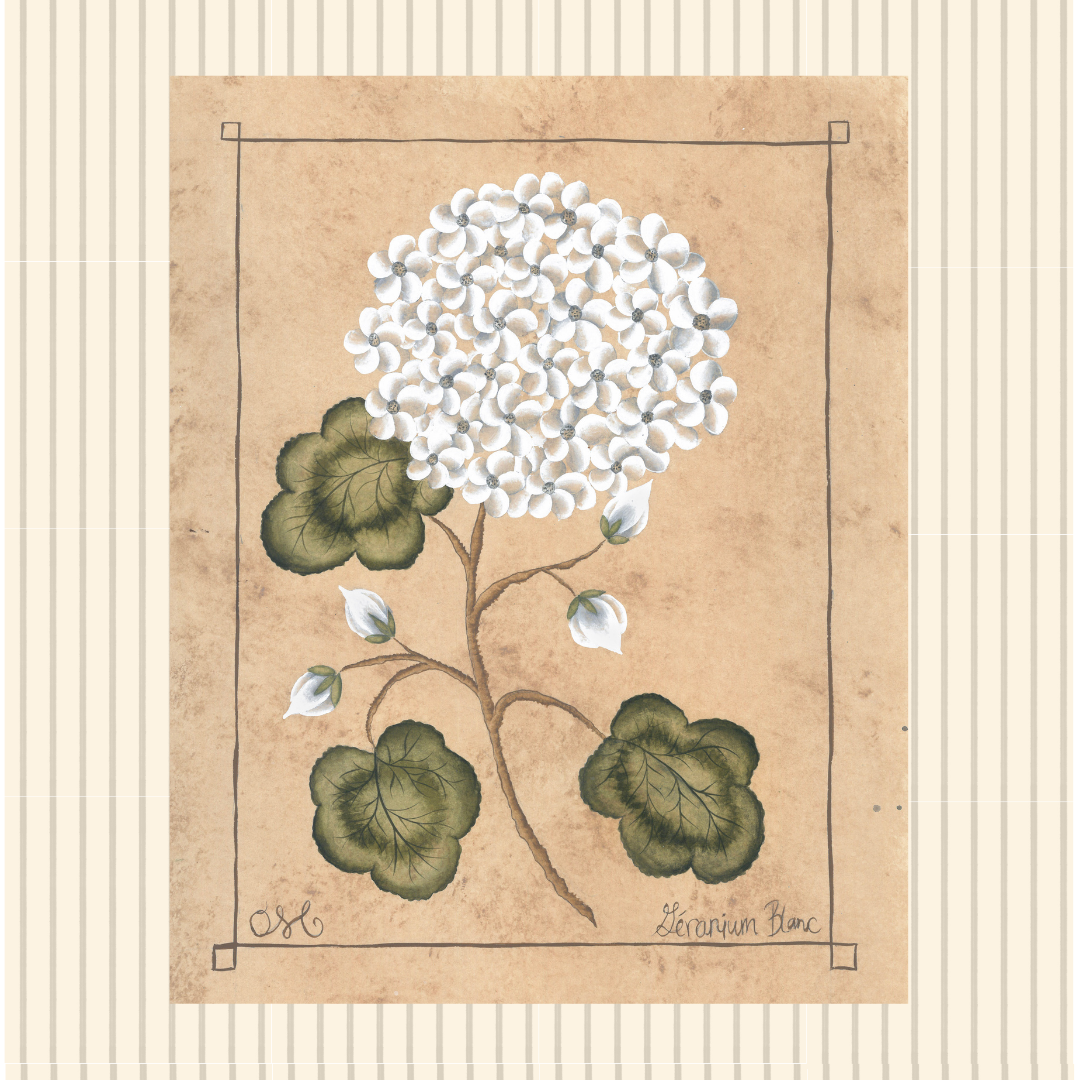 Botanique Blanc Geranium Original on Papier