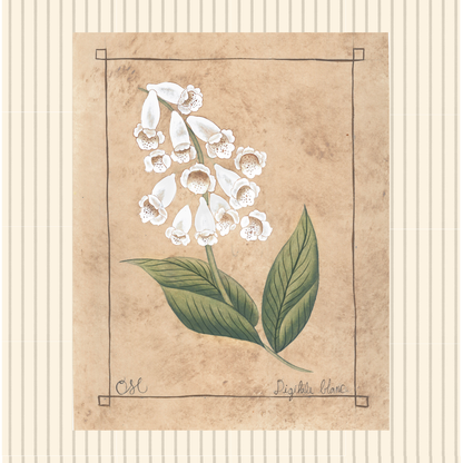 **Botanique Blanc Set of 9 Originals on Papier